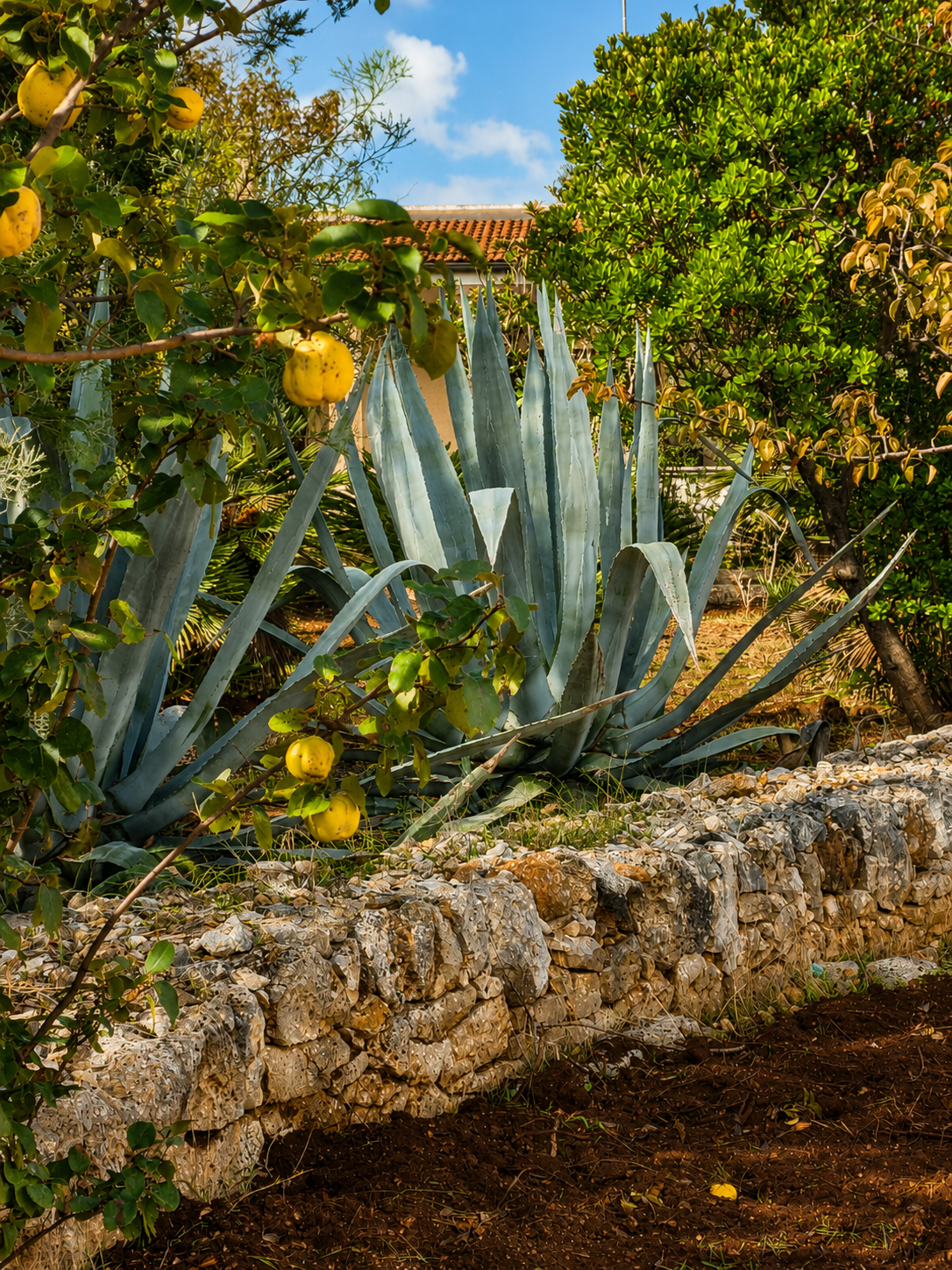 Dimora Morrella op het privéterrein bij Ostuni